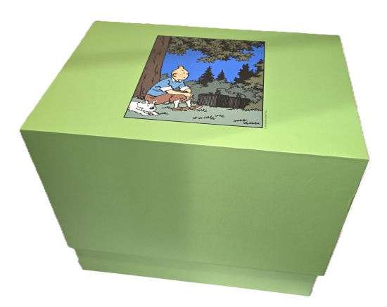 figurine-tintin-assis-dans-l-herbe-moulinsart-tintinimaginatio_boite