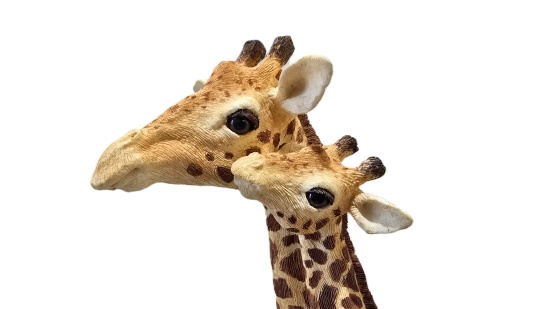 girafe_3