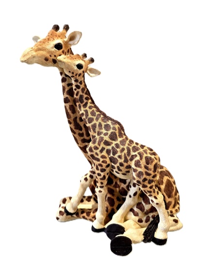 girafe_5