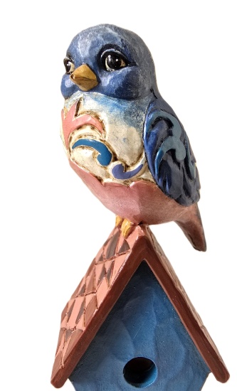 oiseau_bleu_jymshore